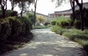 gardens, Xian China 3